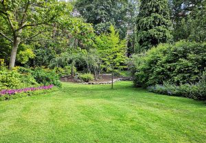Optimiser l'expérience du jardin à Vaux-sur-Blaise
